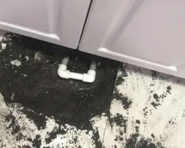 日照市查漏水哪家好